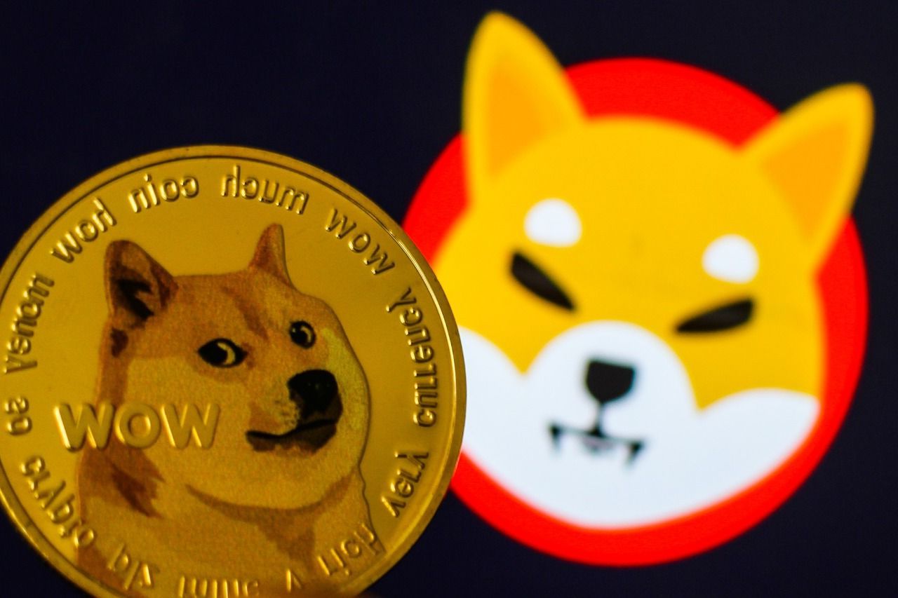 Shıba Inu İle Dogecoin Cephesi’nde Yaşananlar!   