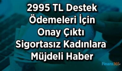 Sigortası Olmayan Kadınlara Müjde! 2995 TL Destek Ödemeleri Onaydan Geçti