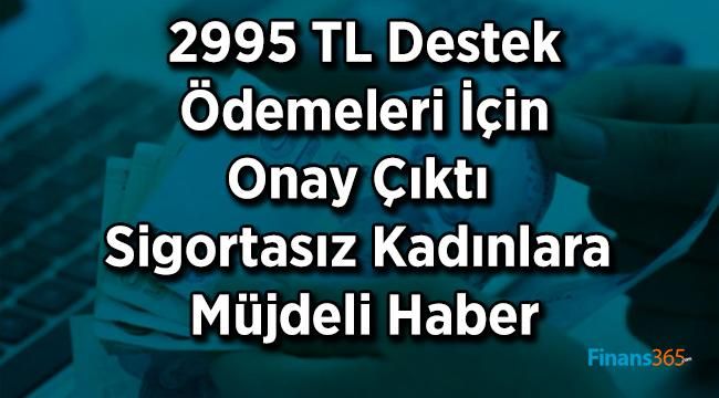 Sigortası Olmayan Kadınlara Müjde! 2995 TL Destek Ödemeleri Onaydan Geçti