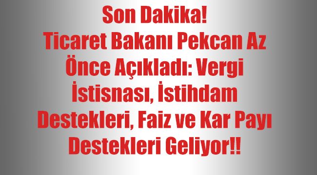 Son Dakika! Ticaret Bakanı Pekcan Az Önce Açıkladı: Vergi İstisnası, İstihdam Destekleri, Faiz ve Kar Payı Destekleri Geliyor