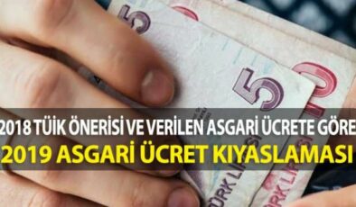 TÜİK Rakamlarının 2019 Asgari Ücrete Etkisi Nasıl Olur?