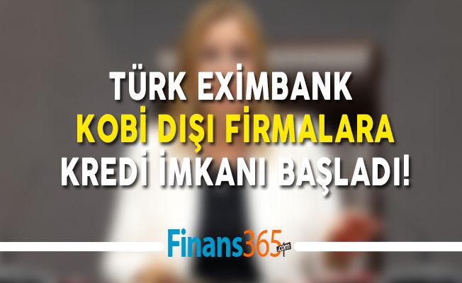 Türk Eximbank, KOBİ Dışı Firmalara Kredi İmkanı Başladı!