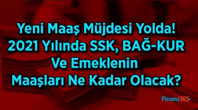 Yeni Maaş Müjdesi Yolda! 2021 Yılında SSK, BAĞ-KUR Ve Emeklenin Maaşları Ne Kadar Olacak?