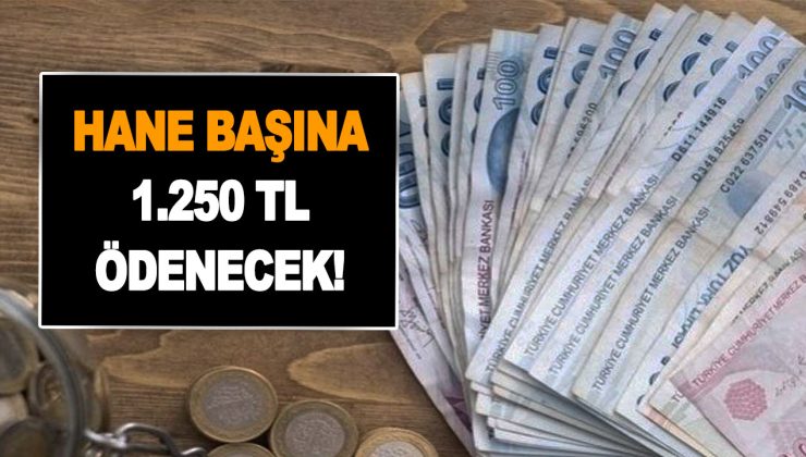 1.250 TL ödenecek! Aralık ayı Aile Destek ödemeleri bugün yattı mı, ne zaman yatırılacak? Aile Destek parası nasıl alınır?