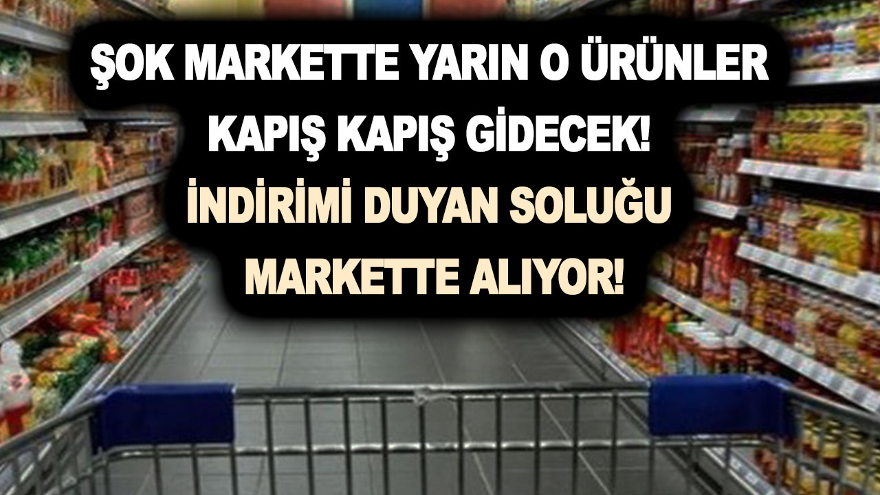 ŞOK 2 Kasım 2022 aktüel kataloğunda ürünler kapış kapış gidecek! İndirimi duyan soluğu markette alıyor!