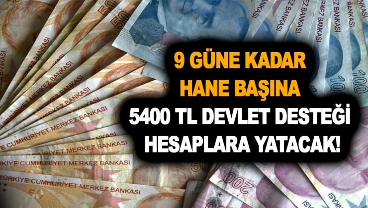 9 güne kadar hane başına 5400 TL devlet desteği hesaplara yatacak! E-Devlet üzerinden kontrol edin!