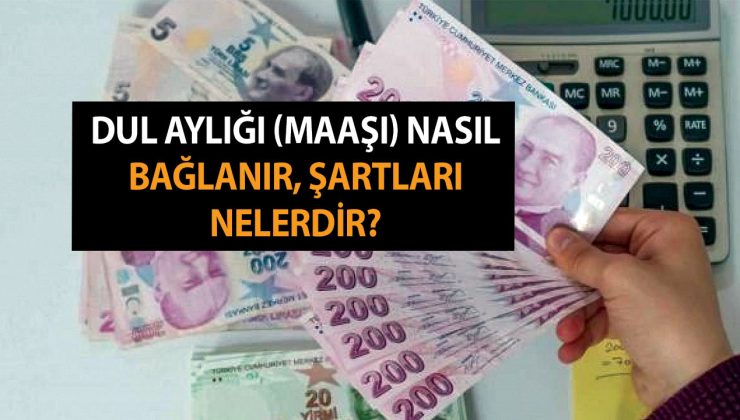 Dul aylığı (maaşı) nasıl bağlanır, şartları nelerdir? Dul Aylığının Kesilme Nedeni Nedir?