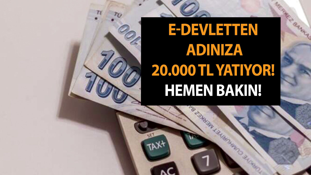 E-devlet kapısından başvuru için son tarih belli oldu! Adınıza 20.000 TL yatıyor! Hemen bakın!