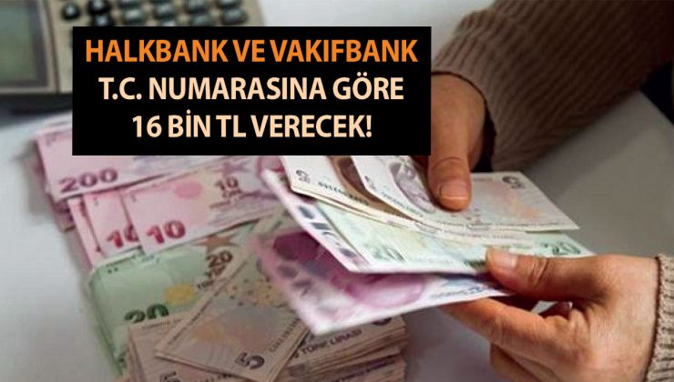 Halkbank ve Vakıfbank T.C. numarasına göre 16 bin TL kredi verecek! Halkbank ve Vakıfbank ihtiyaç kampanyası detayları…