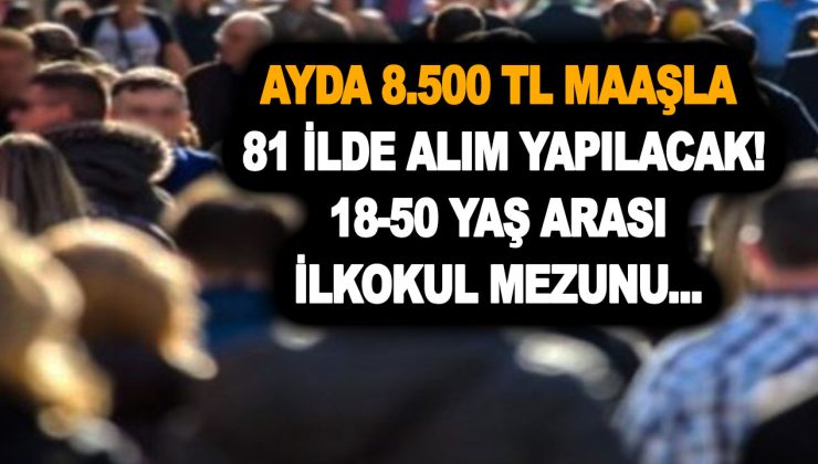 İŞKUR’dan 18-50 yaş arası ilkokul mezunu personel alımı müjdesi! Ayda 8.500 TL maaşla 81 ilde alım yapılacak!