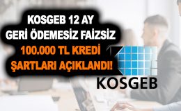 KOSGEB 12 ay geri ödemesiz ve faizsiz 100.000 TL kredi şartları açıklandı!