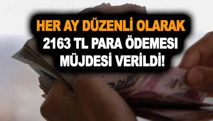 NETLEŞTİ! Bunu sağlayan vatandaşlara her ay düzenli olarak 2163 TL para ödemesi yapılıyor!