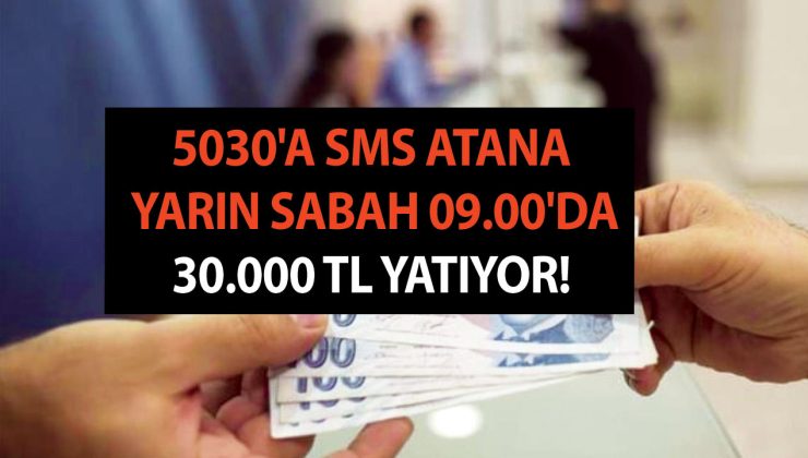 5030’a SMS atana yarın sabah 09.00’da 30.000 TL yatıyor! Akbank, DenizBank, İş Bankası, ING, Yapı Kredi ve Garanti BBVA veriyor