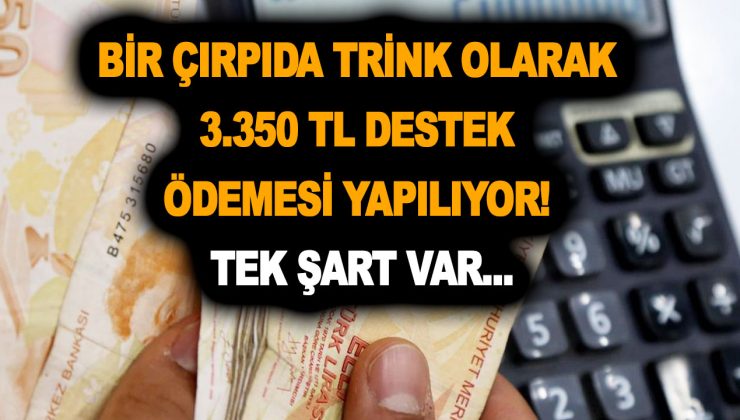 Bir çırpıda trink olarak 3.350 TL destek ödemesi yapılıyor! Tek şart var, 6-7-8-9 Şubat’ta hesapta!