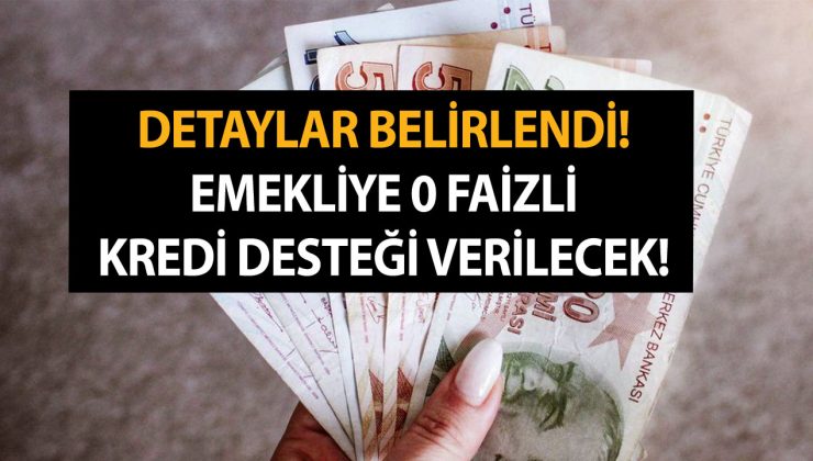 Detaylar Belirlendi! Emekliye 0 Faizli Kredi Desteği Verilecek