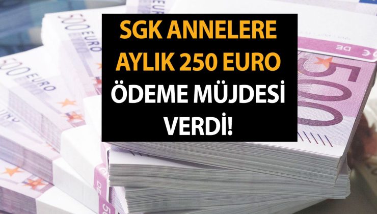Halkbank, SGK işbirliğiyle annelere aylık 250 Euro ödeme müjdesi verdi