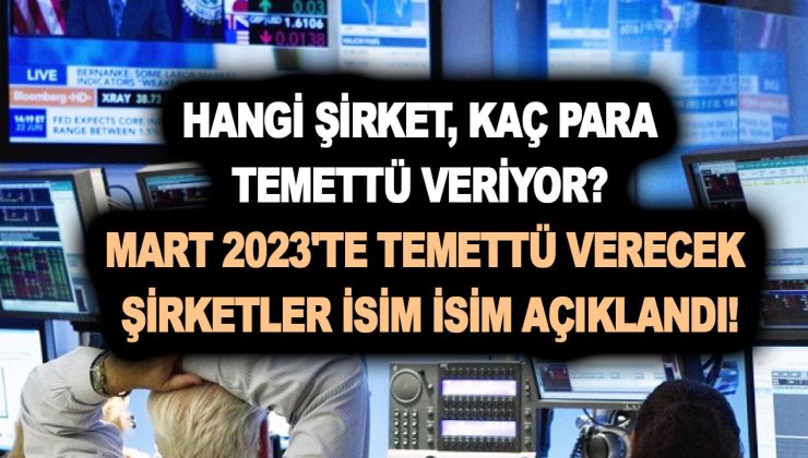Hangi şirket, kaç para temettü veriyor? Mart 2023’te temettü verecek şirketler isim isim açıklandı!