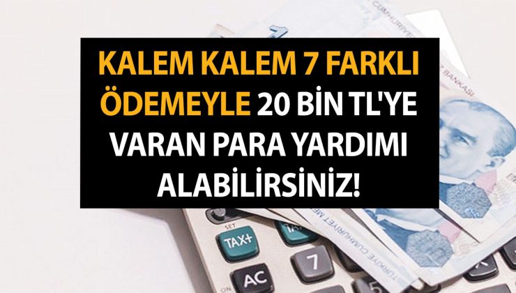 Kalem Kalem 7 Farklı Ödemeyle 20 Bin TL’ye Varan Para Yardımı Alabilirsiniz