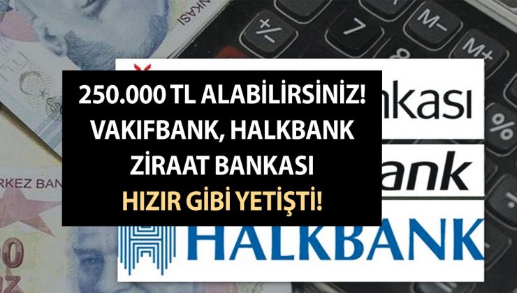 250.000 TL alabilirsiniz! Vakıfbank, Halkbank ve Ziraat Bankası hızır gibi yetişti!