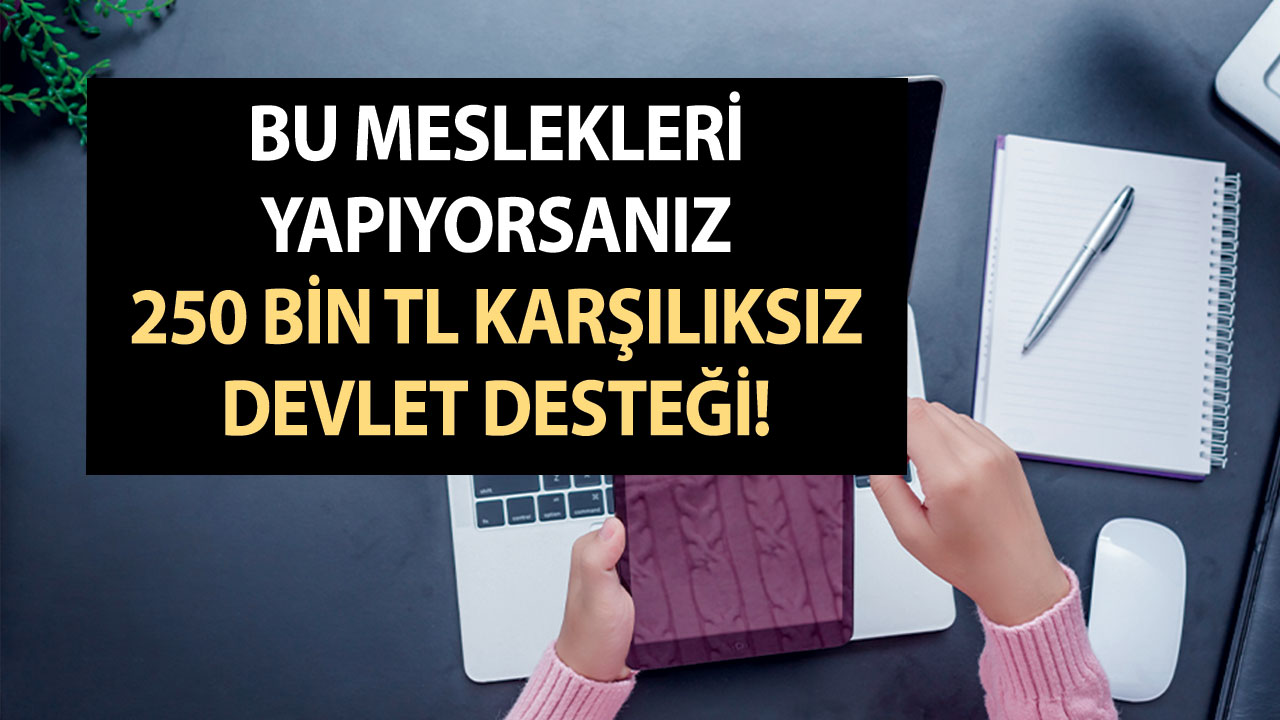 Bu meslekleri yapıyorsanız KOSGEB karşılıksız para veriyor! 250 Bin TL karşılıksız devlet desteği!