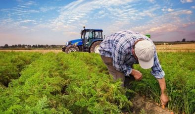 Çiftçilere özel hibe kredi desteği müjdesi: KOSGEB çiftçi desteği 2023 şartları
