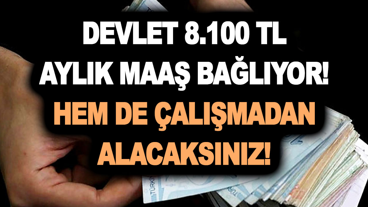 Devlet 8.100 TL aylık maaş bağlıyor! Hem de çalışmadan alacaksınız! Yararlanacak kişiler ve şartlar belli oldu!