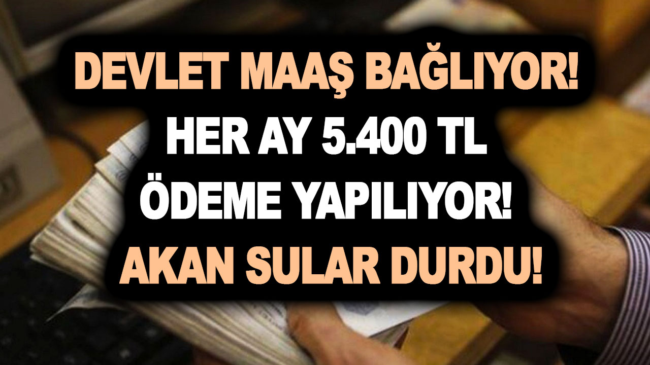 Devlet maaş bağlıyor! Her ay 5.400 TL ödeme yapılıyor! Akan sular durdu!