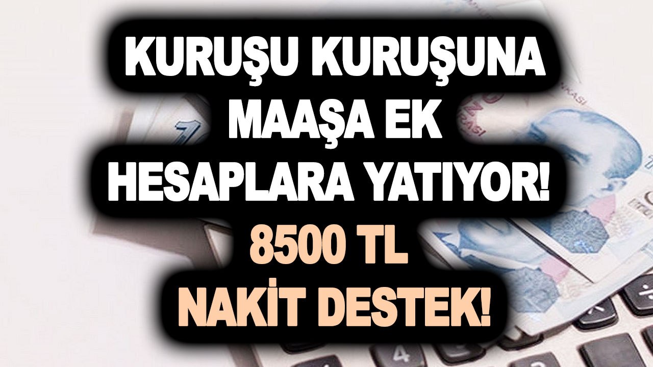 Maaşa ek hesaplara yatıyor! Emekliye karşılıksız, geri ödemesiz 8500 TL nakit destek
