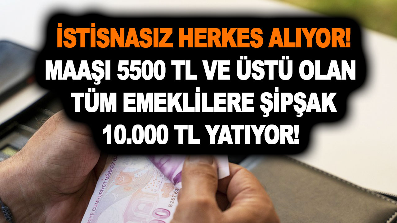 Aklını peynir ekmekle yemiş! Maaşı 5500 TL ve üstü olan tüm emeklilere şipşak veriliyor! İstisnasız herkese nakit 10.000 TL geri ödemesiz verilecek