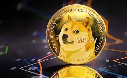 Son dakika: Elon Musk Doge Coin fiyatını fırlattı! Doge Coin neden yükseliyor?