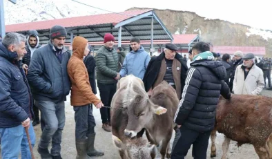 Erzurum Oltu’da hayvan pazarı yeniden açıldı