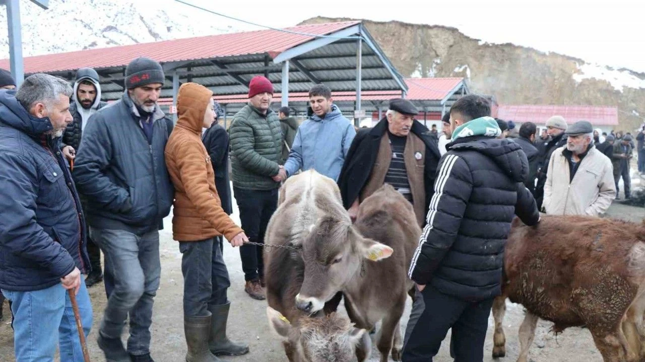 Erzurum Oltu’da hayvan pazarı yeniden açıldı