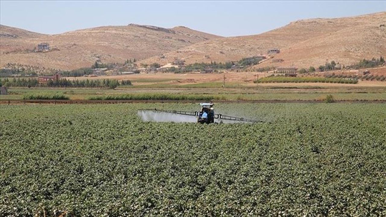 Gübrede Vergi Sıfırlandı, Fiyatlara Müdahale Geldi