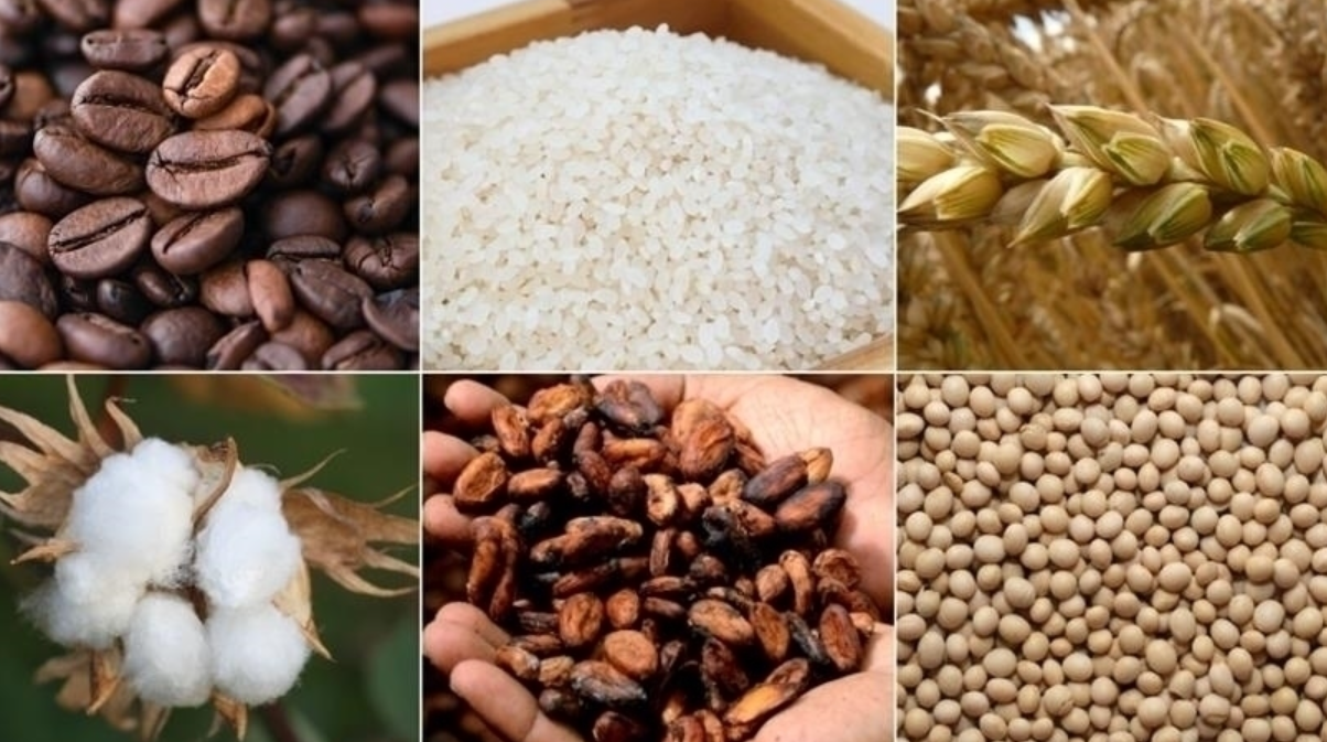 Küresel gıda piyasasında kırmızı alarm: El Nino tarımsal emtiaları etkileyecek