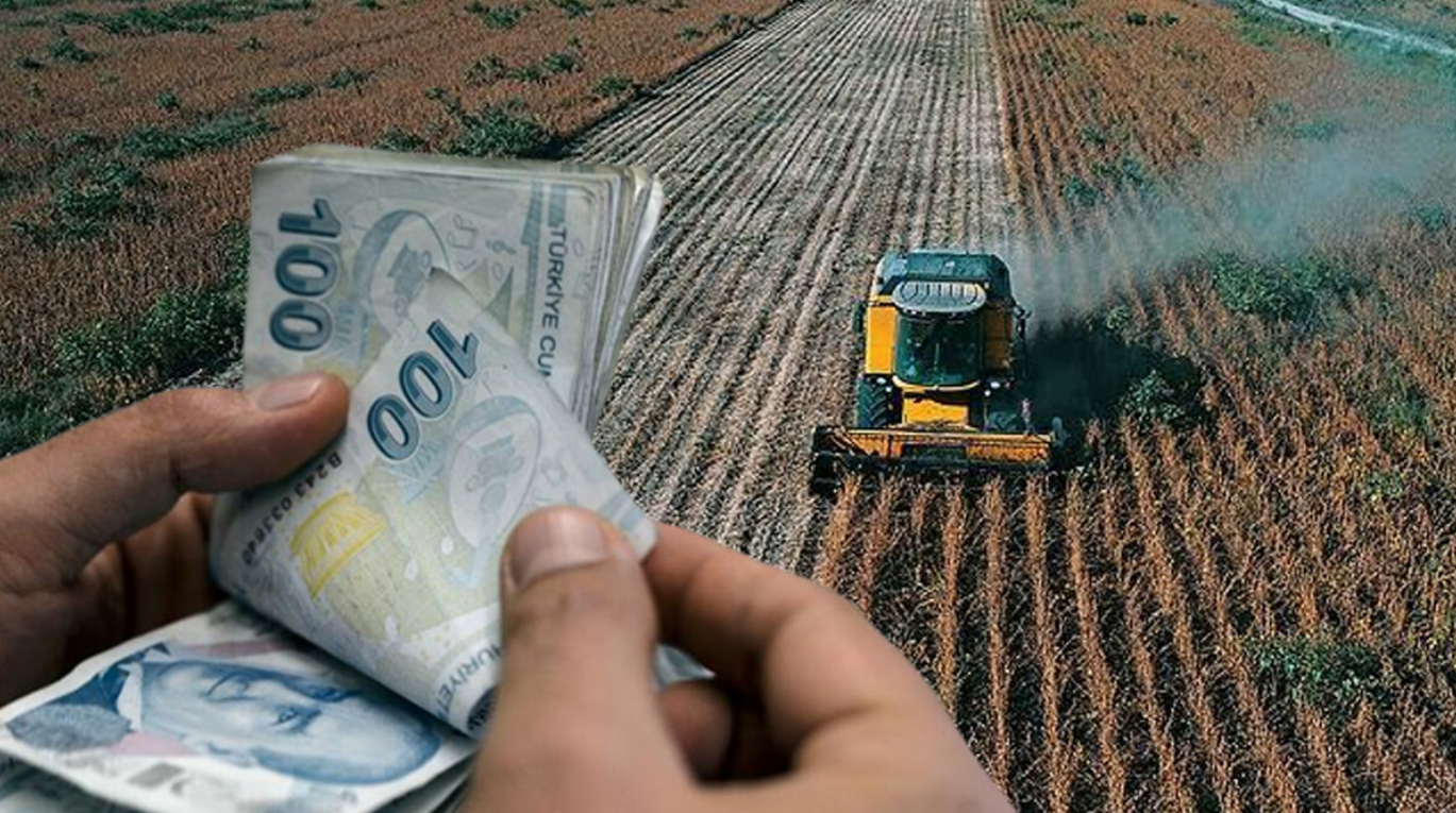 TMO’dan çiftçiye ilk ödeme! Hububat alım paraları hesaplara yattı